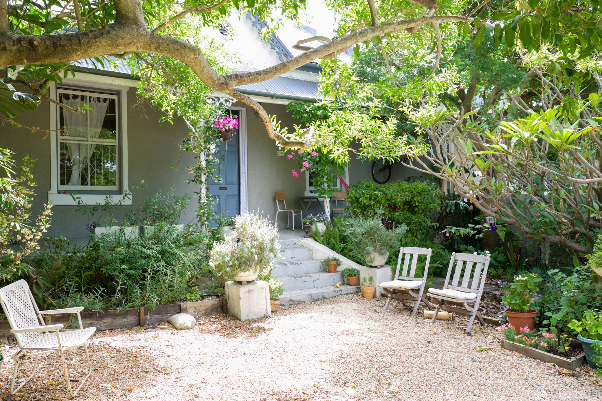 Front yard store garden